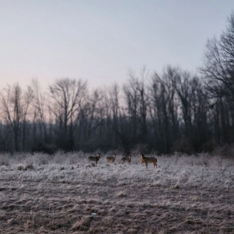 nrc%EF%BC%8D20230304%EF%BC%BF063235%EF%BC%BF1677933167.jpg?type=w773