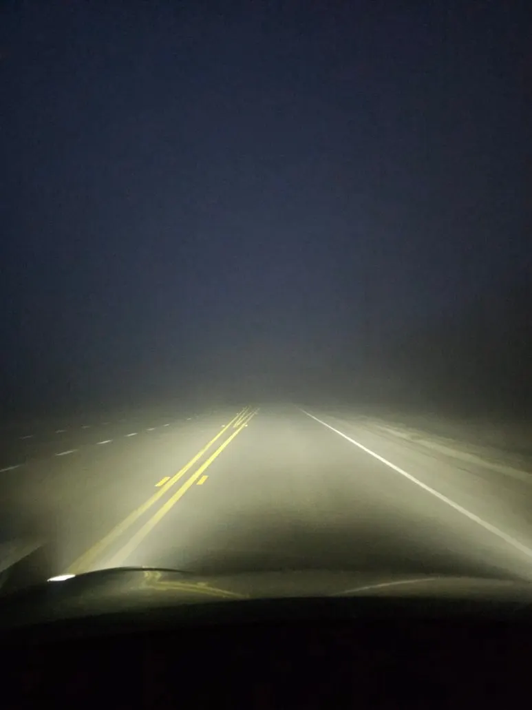 20240207%EF%BC%BF062442.jpg?type=w773