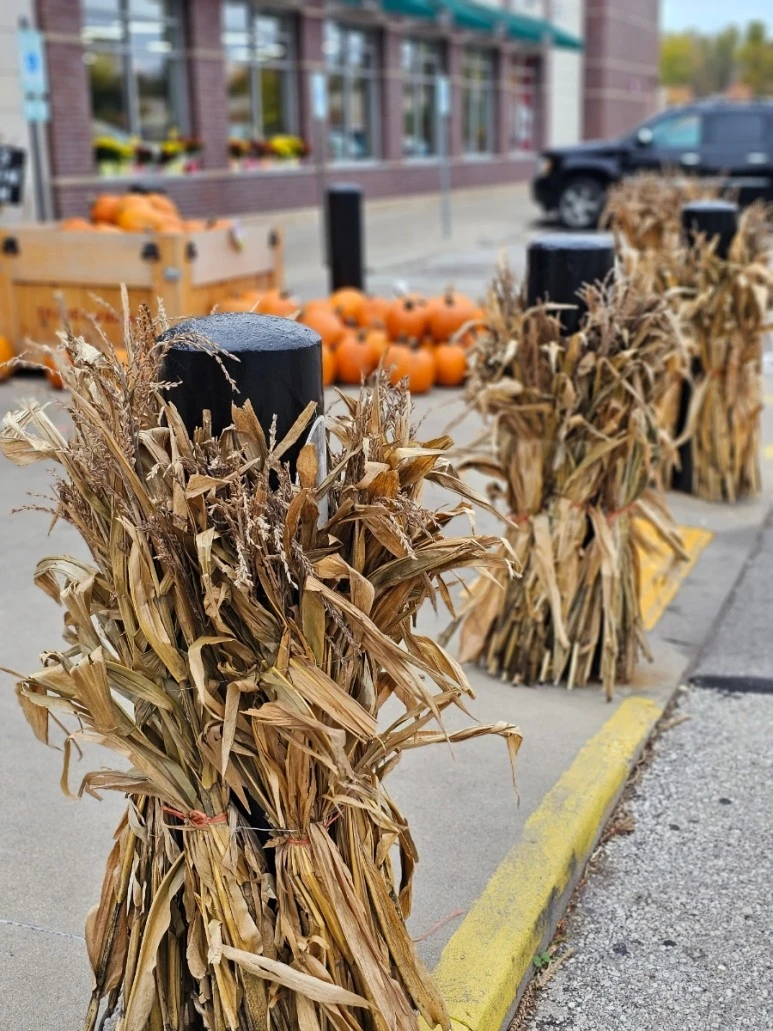 20231012%EF%BC%BF085315.jpg?type=w773