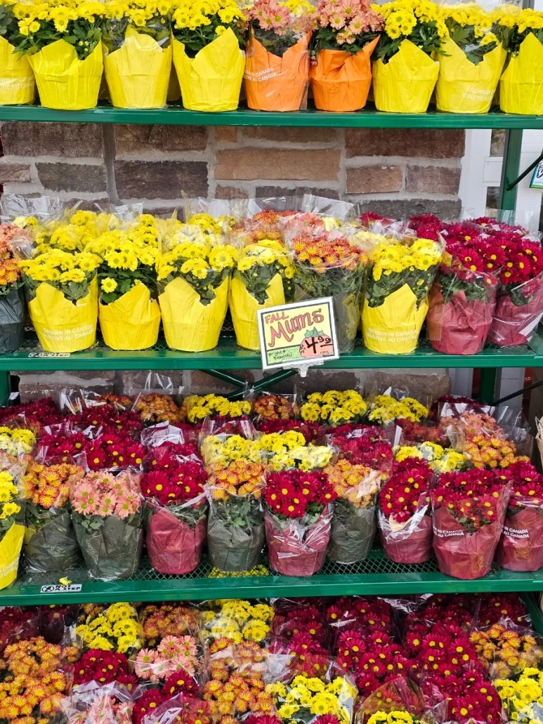 20231012%EF%BC%BF085323.jpg?type=w773