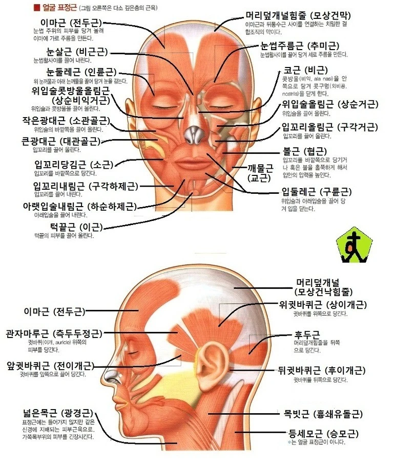 9f9e24b804a3b98400d36a6fd6168dd19f44f453