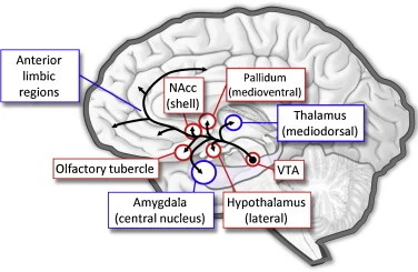 d68271c67db065ca584cb6d6cb57b6616f535c90