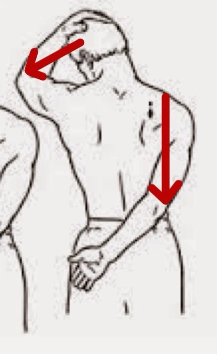 fb8edb68a2935b51fdb53c93a26bb7c02f350538