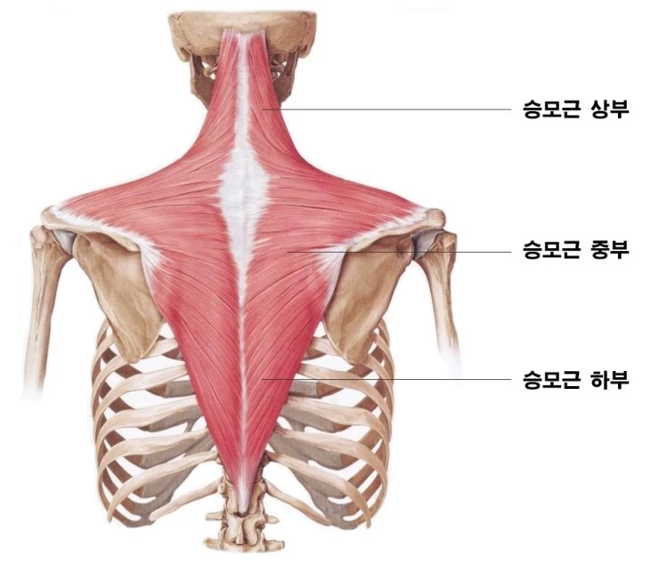 f3fc5042d4cdf0baefebf6d23ab1eb5e1d62dc43