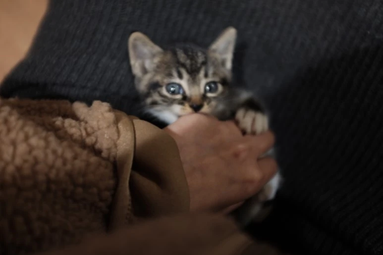 IMG_0408.JPG?type=w773