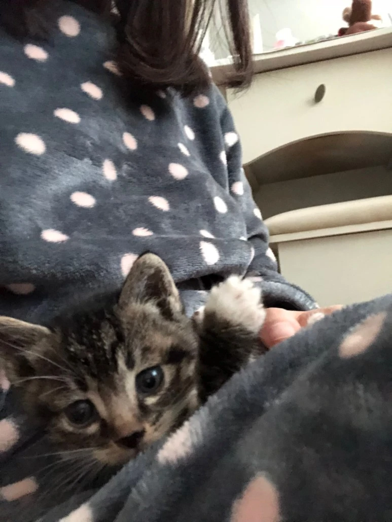 IMG_0352.JPG?type=w773