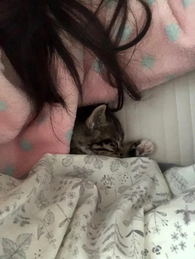 IMG_0364.JPG?type=w773