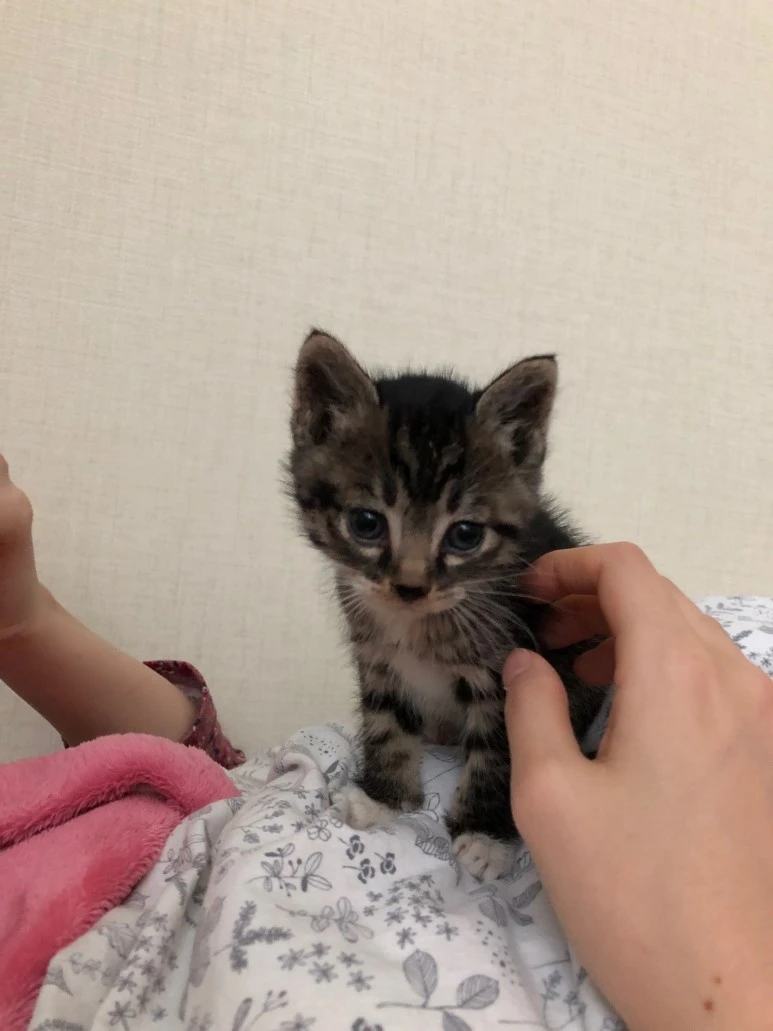 IMG_0348.JPG?type=w773