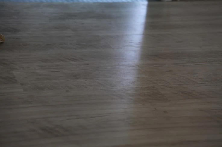 IMG_8022.JPG?type=w2