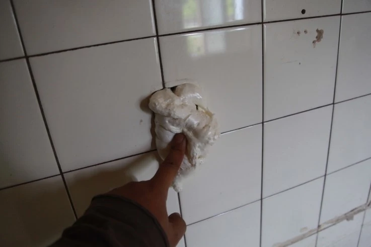 IMG_7519.JPG?type=w2