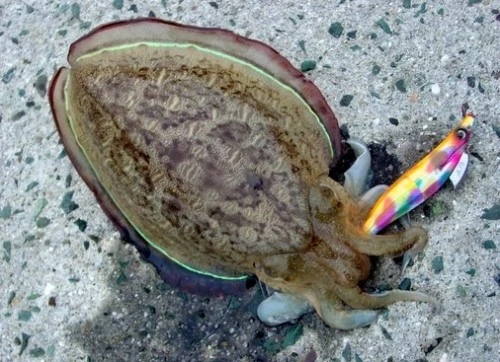 2011-11-13_00%3B40%3B33.jpg?type=w2