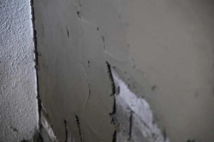 IMG_7339.JPG?type=w2