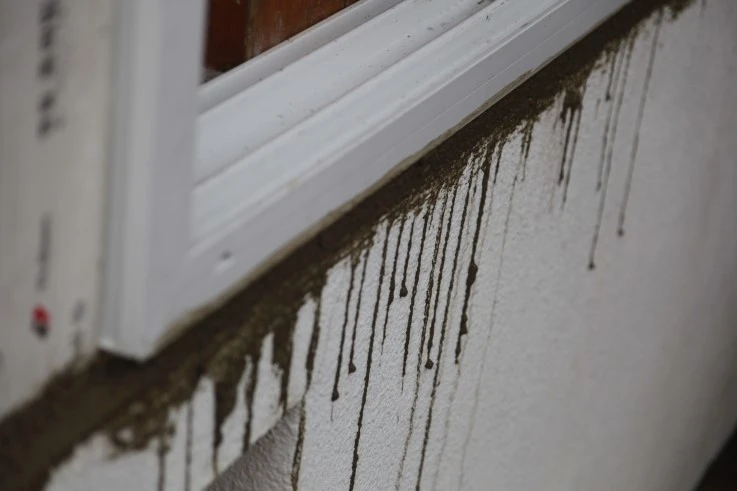 IMG_7812.JPG?type=w2