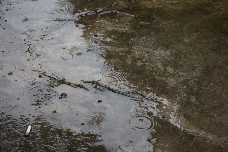 IMG_7044.JPG?type=w2