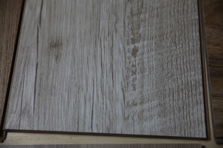 IMG_7705.JPG?type=w2