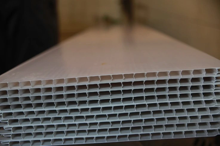 IMG_7380.JPG?type=w2