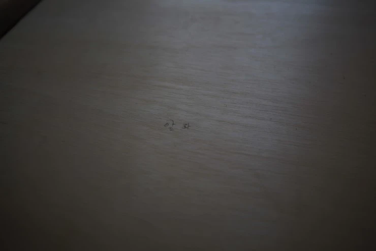 IMG_9299.JPG?type=w2