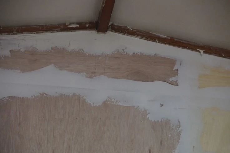 IMG_7774.JPG?type=w2