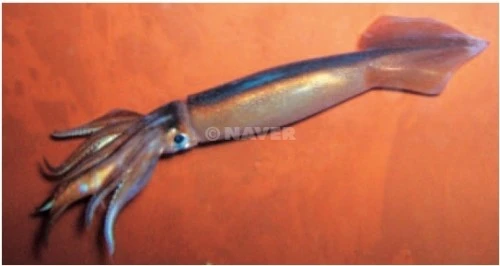 2011-11-13_00%3B17%3B29.jpg?type=w2