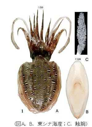 2011-11-13_00%3B41%3B09.jpg?type=w2