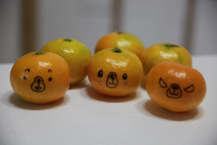 IMG_7551.JPG?type=w2