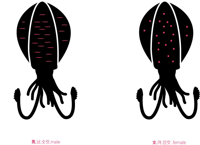 %B9%AB%B4%CC%BF%C0%C2%A1%BE%EE.jpg?type=w2