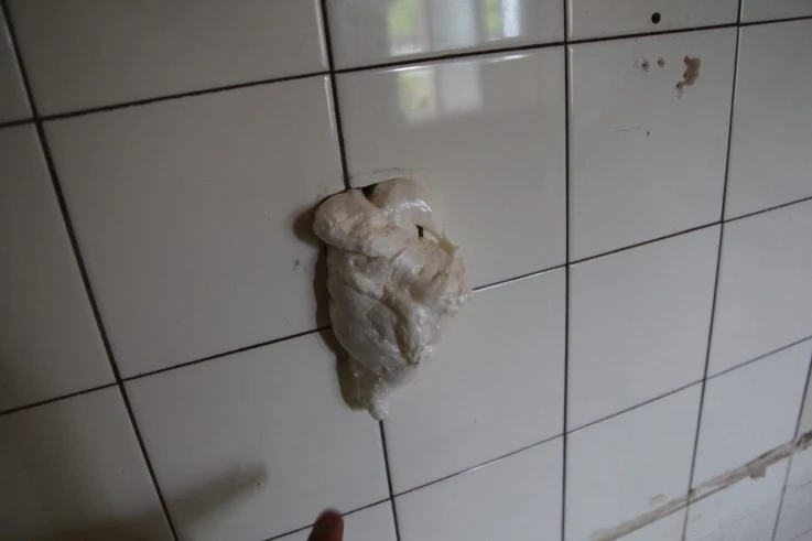 IMG_7518.JPG?type=w2