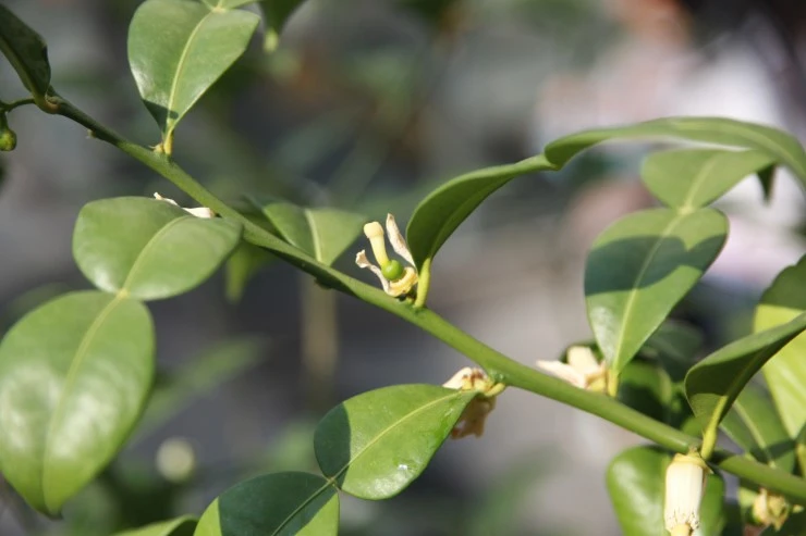 IMG_4617.JPG?type=w2