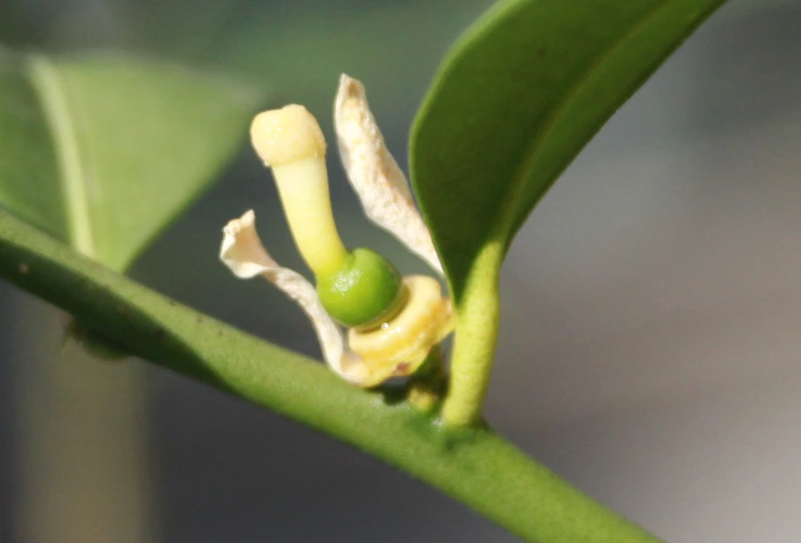 %B0%A8%B1%D6%C6%C7%B8%C52.jpg?type=w2