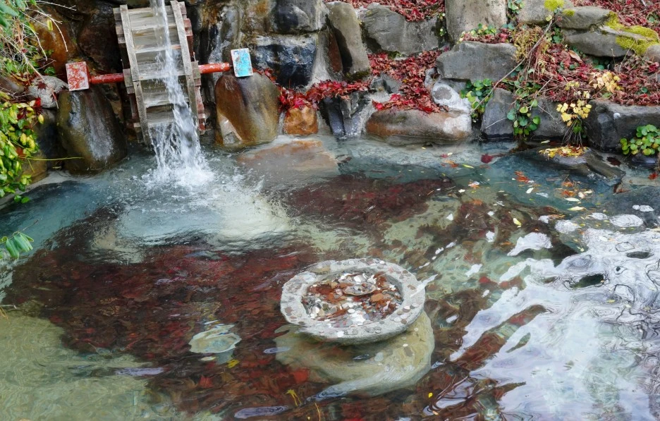 SE-058eb2a3-64bc-4130-abcd-4fb10065a729.jpg?type=w1