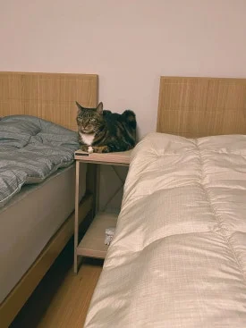 20250914_%EC%9D%BC%EC%83%812_(1).jpg?type=w275