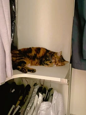 20250914_%EC%9D%BC%EC%83%812_(2).jpg?type=w275