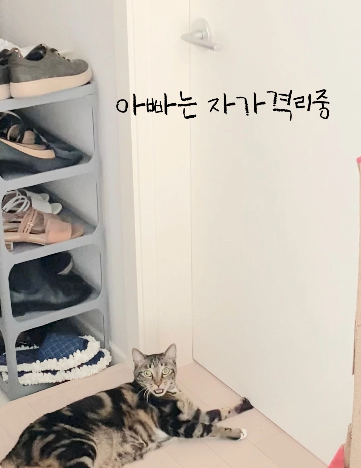 자가격리의 장점은 애틋함.JPG