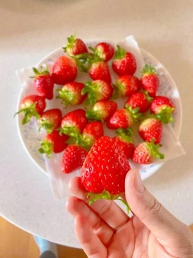 IMG_8389.JPG?type=w275