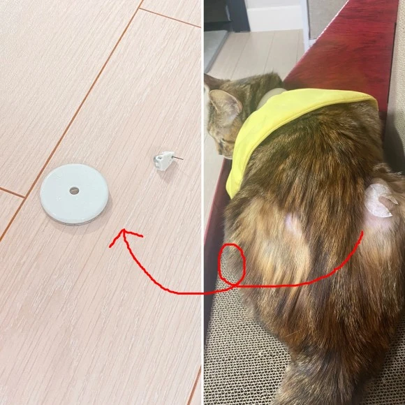 KakaoTalk_20231119_110047400_06.jpg?type=w580