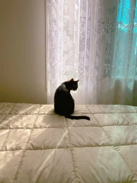 20250914_%EC%9D%BC%EC%83%812_(4).jpg?type=w275