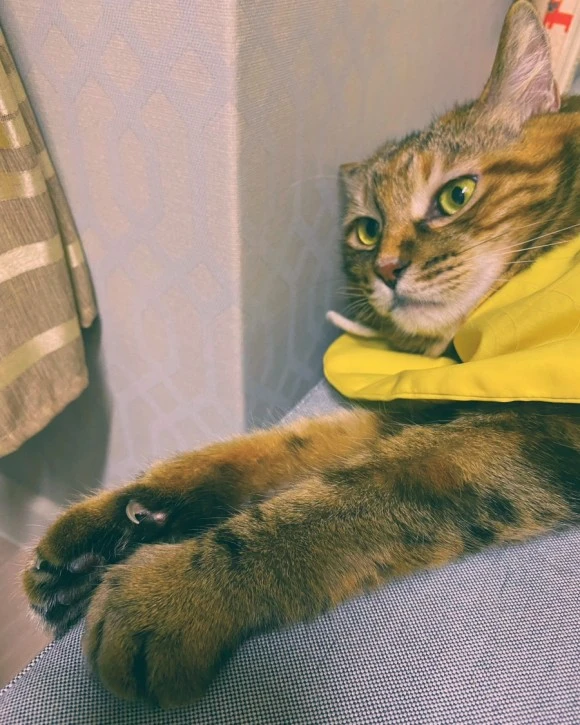 IMG_7776.JPG?type=w580