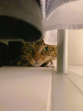 20250914_%EC%9D%BC%EC%83%812_(3).jpg?type=w275