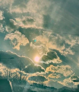 IMG_7898.JPG?type=w275