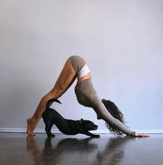 Compare Retreats Magazine.jfif