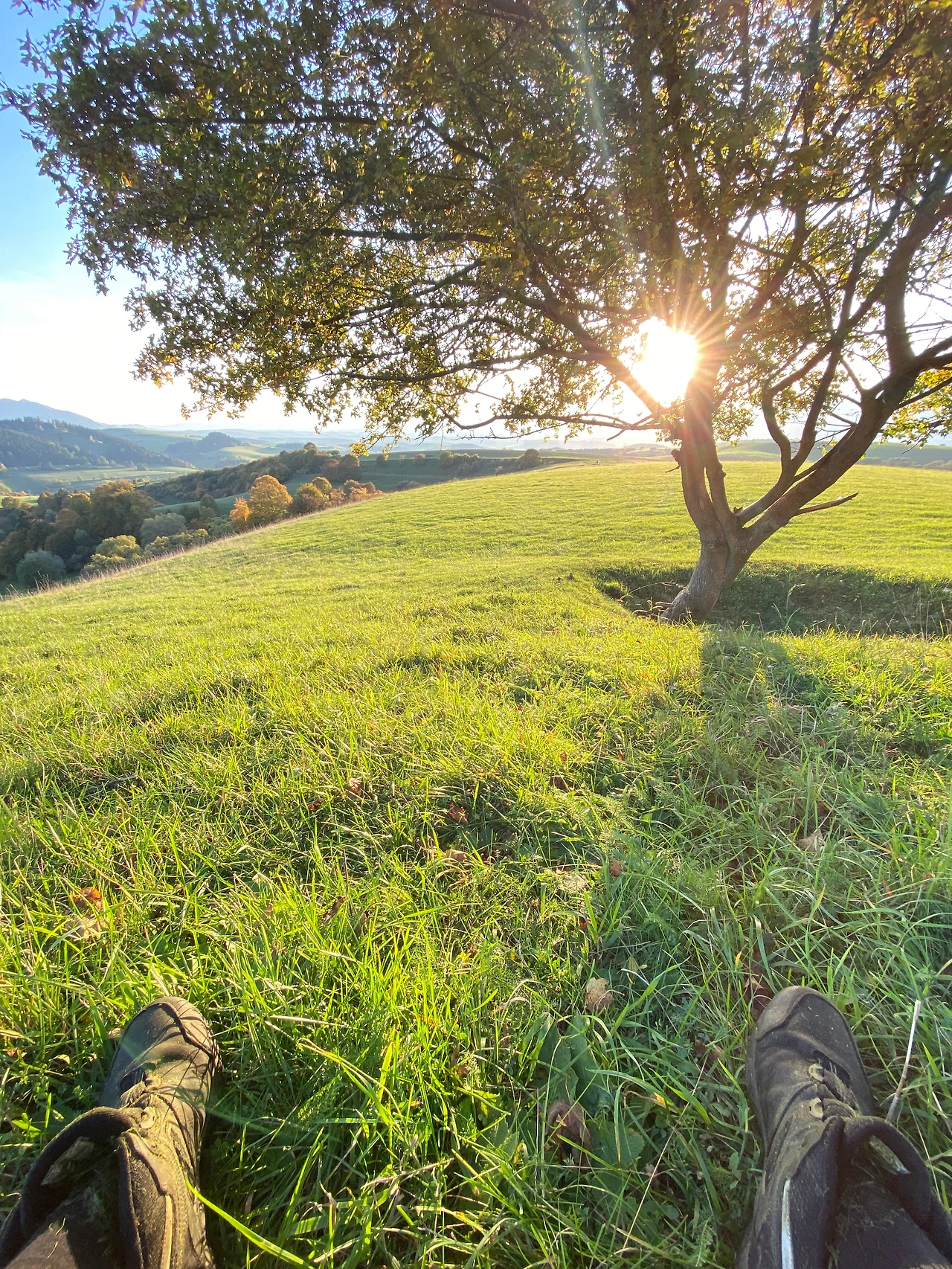 언덕 위에서, 나무 그늘 아래에서, 지는 태양 바라보며..JPG