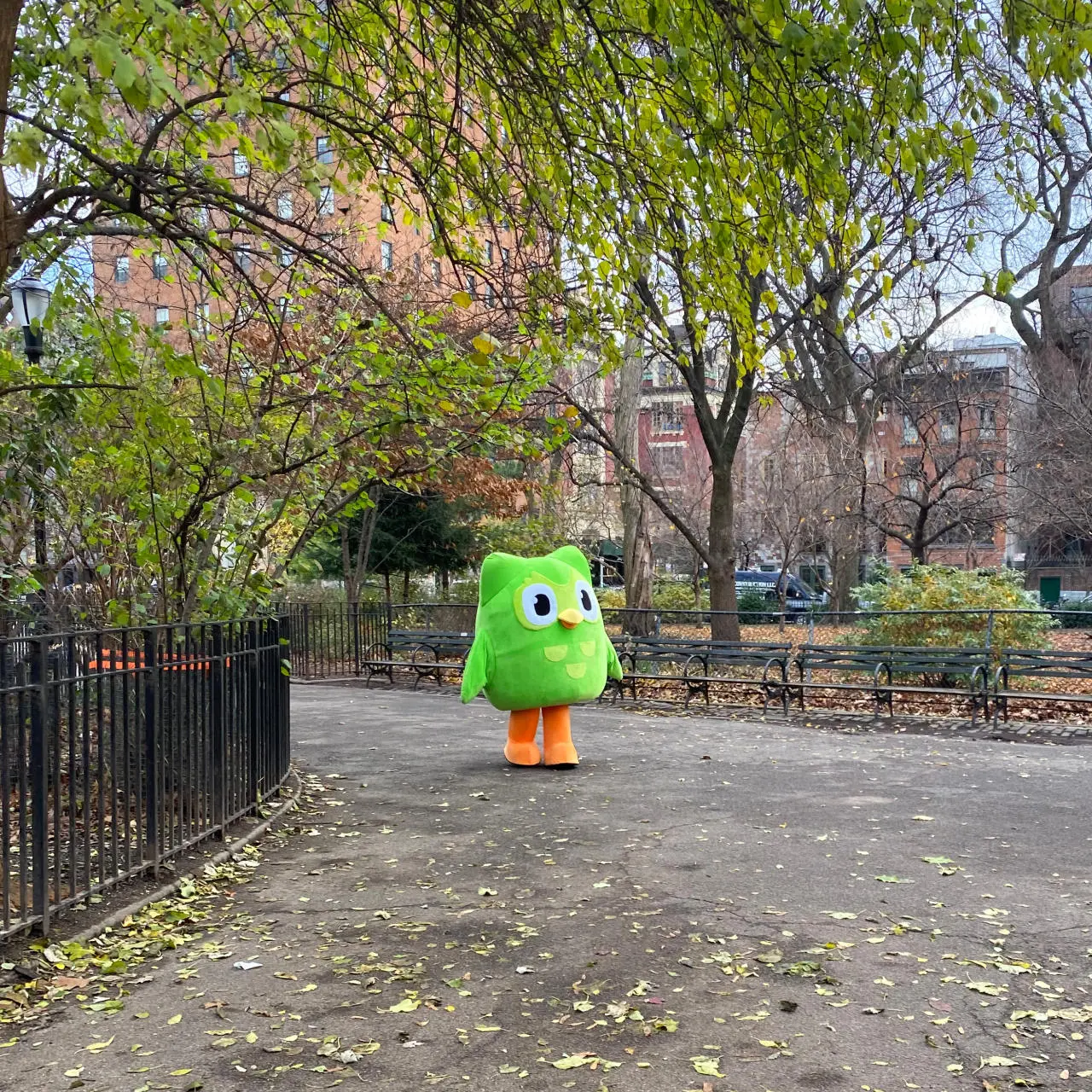 ?width=1280&height=1280