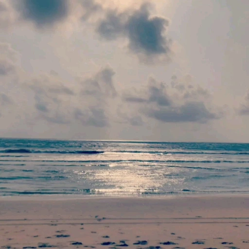 5315030_uploaded_6383335.jpg?type=w773