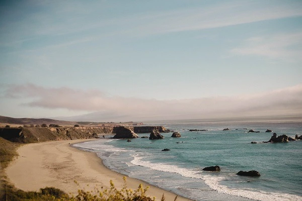 3555583_uploaded_1512689.jpg?type=w773