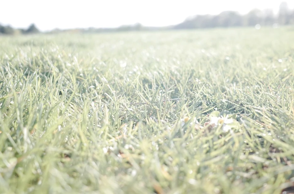 R0002221.JPG?type=w1