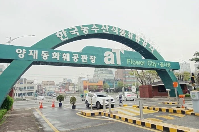 %EC%96%91%EC%9E%AC%EA%BD%83%EC%8B%9C%EC%9E%A5_1.jpg?type=w1200