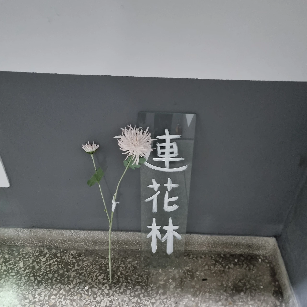 KakaoTalk_Photo_2023-01-25-12-54-41 001.jpeg