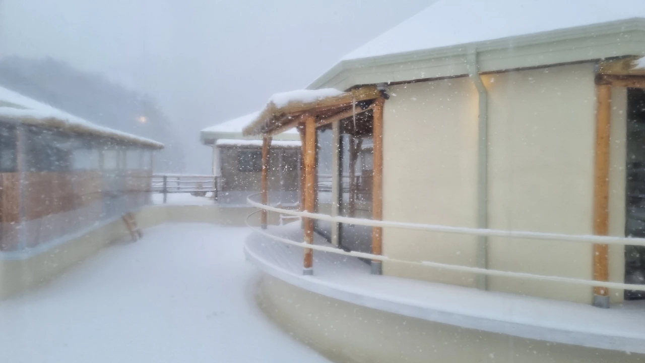 KakaoTalk_Photo_2022-12-19-12-43-01 002.jpeg