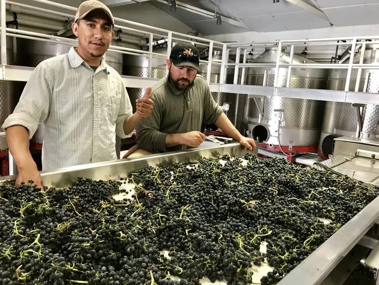 IMG_2195.jpg?format=1000w