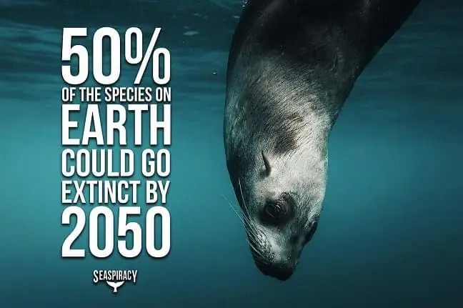 Seaspiracy-FB2.jpeg